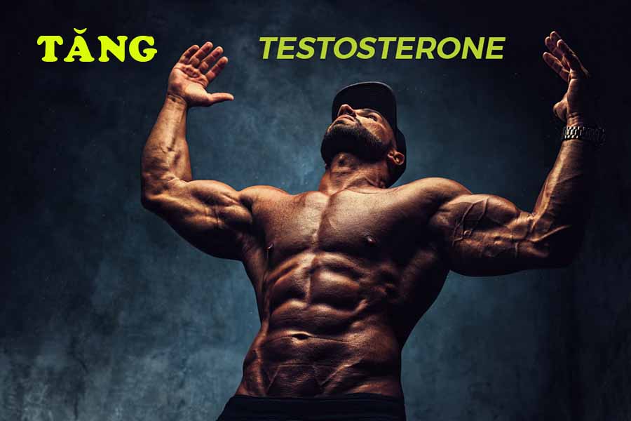 tang-testosterone-gay-rung-toc