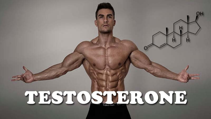 vitamin-D-tang-testosterone