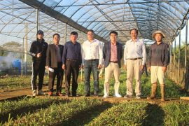 Lãnh đạo công ty Dược Sanfo đến thăm vườn trồng Sâm Cau tại vùng dược liệu Tỉnh Hà Giang